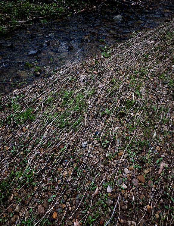Grass Creek Stones photo by Jay Snively