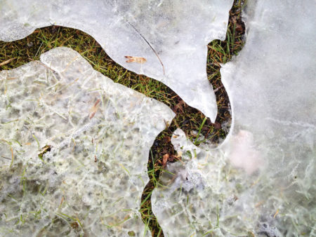 Ice snake photo by Jay Snively