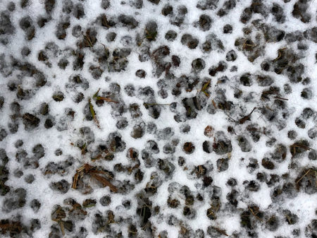 Snow holes photo by Jay Snively