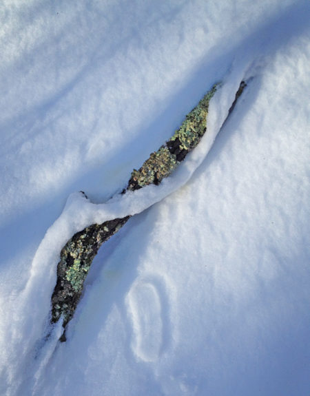 Stick, snow photo by Jay Snively