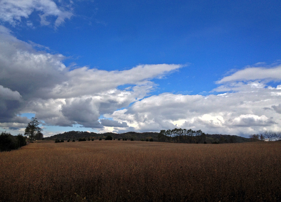 Wickerham Hill, beans, sky photo by Jay Snively