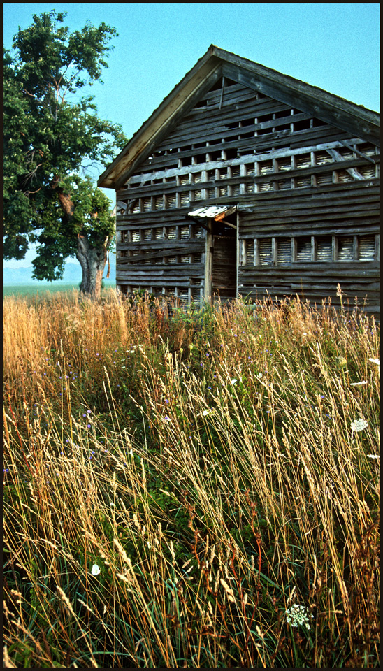 Cornstalk School photo by Jay Snively