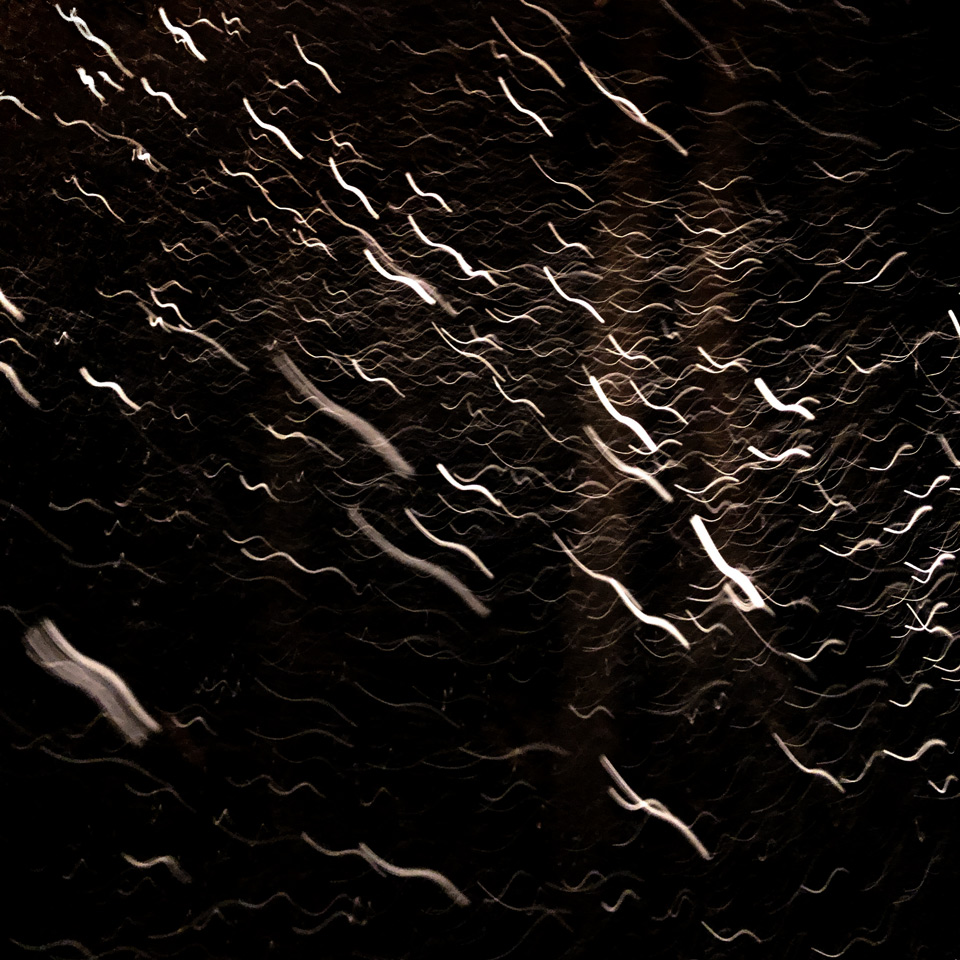 Snowfall, Trees photo by Jay Snively