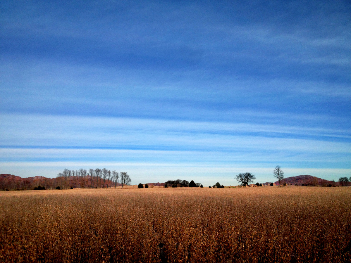 Bean Field, Sky photo by Jay Snively