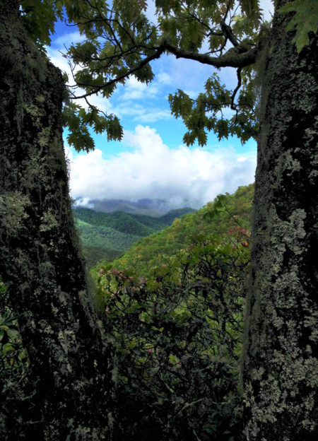 View from Mount Pisgah Trail photo Jay Snively